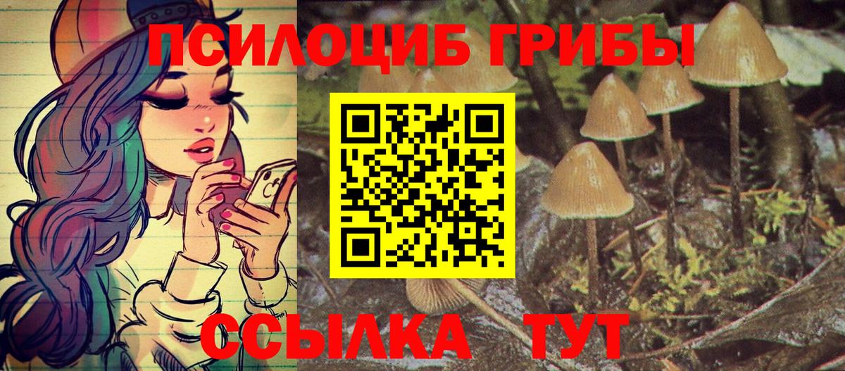 Тамбов  Псилоцибиновые грибы Cubensis  Галлюциногенные грибы Cubensis  Вход с VPN 